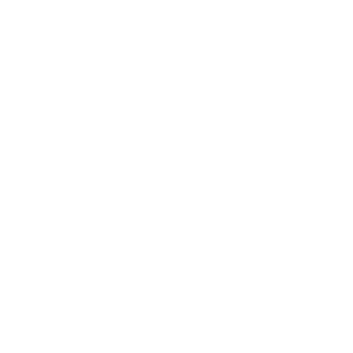 Custom Concept White Logo